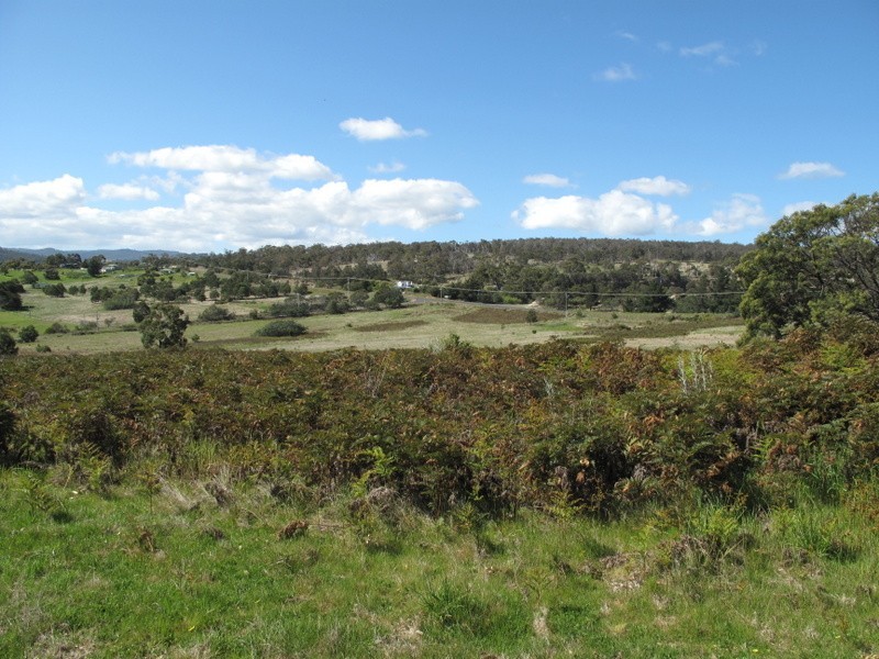 Lot 14 Old Forcett Road, Forcett TAS 7173