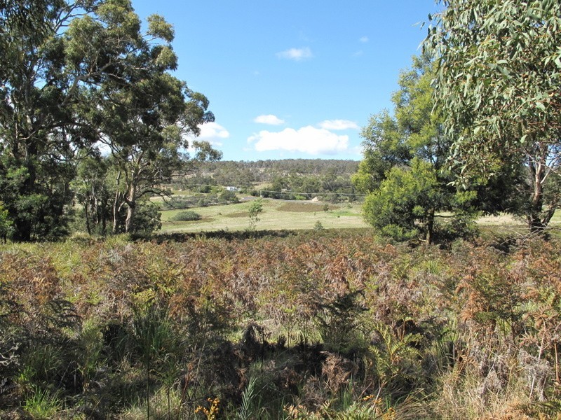 Lot 14 Old Forcett Road, Forcett TAS 7173