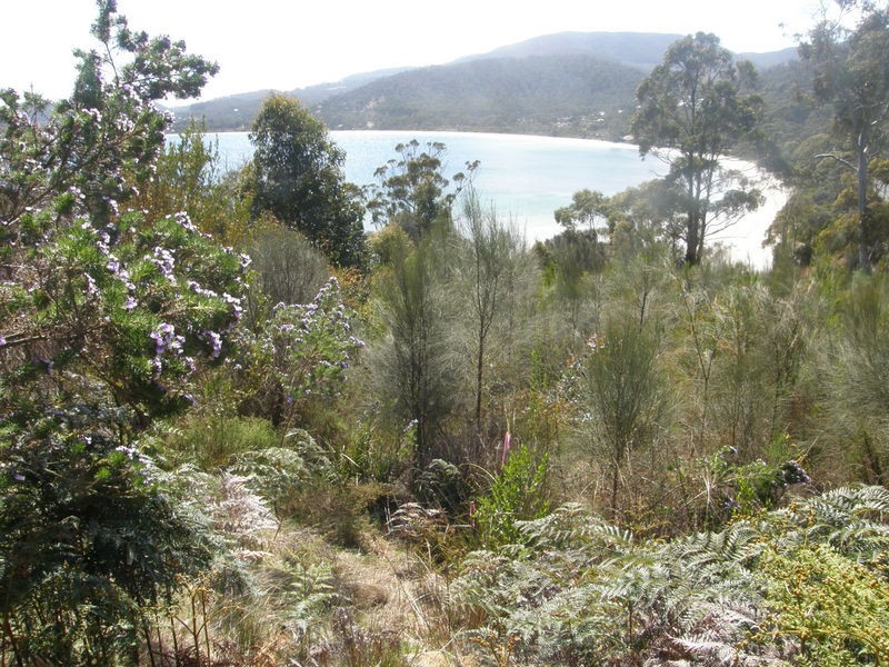 Lot 3 Kerstan Court, White Beach TAS 7184