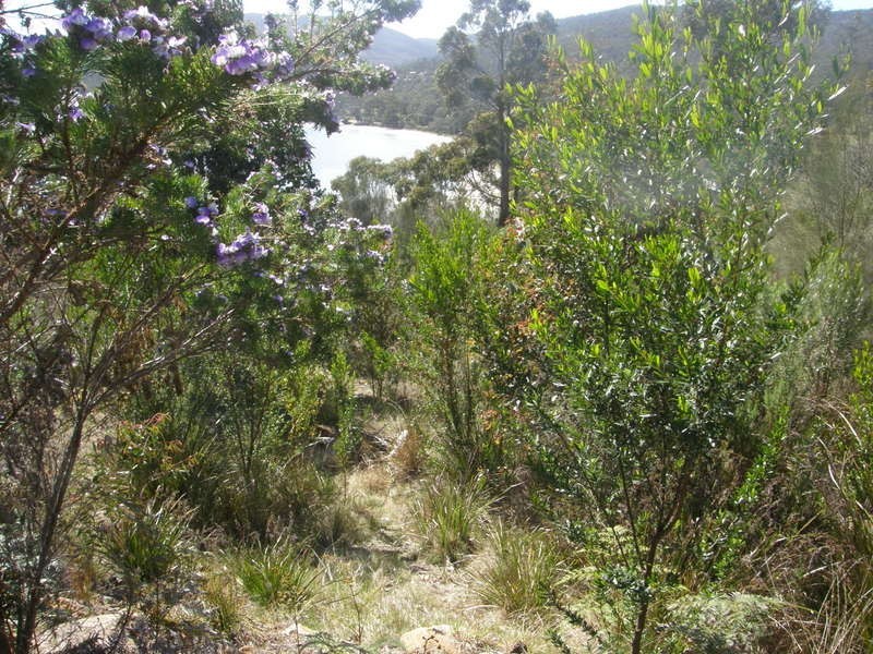 Lot 3 Kerstan Court, White Beach TAS 7184