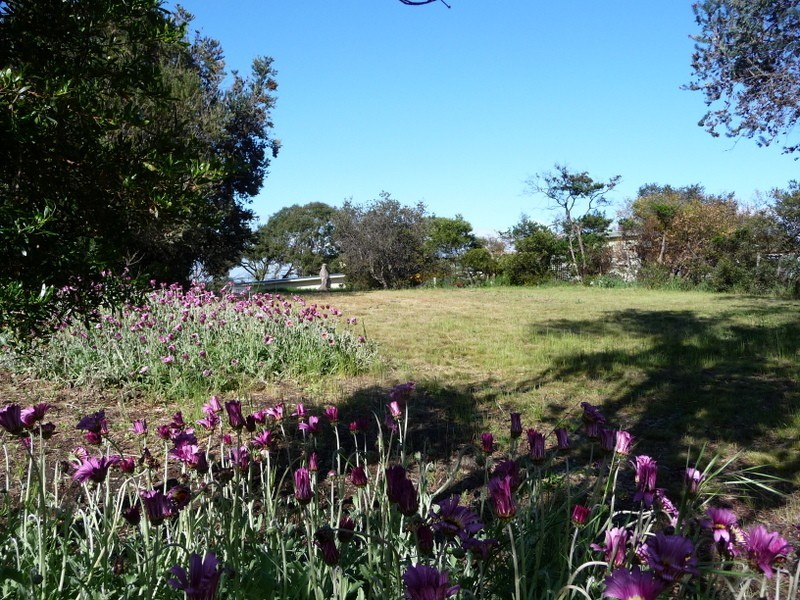 121 Bally Park Road, Dodges Ferry TAS 7173