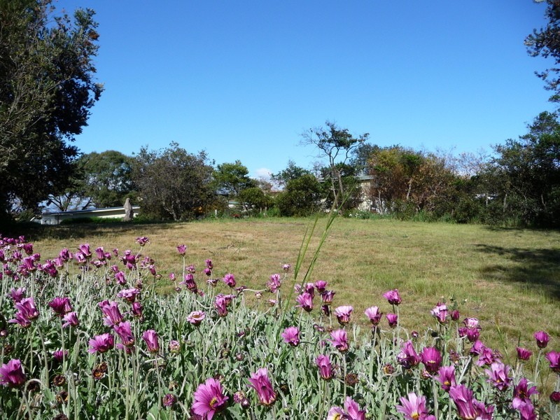 121 Bally Park Road, Dodges Ferry TAS 7173