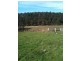 76 McConnons Road, Levendale TAS 7120