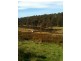76 McConnons Road, Levendale TAS 7120
