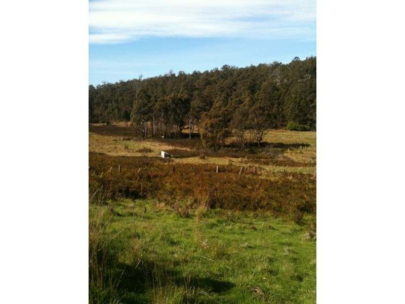 76 McConnons Road, Levendale TAS 7120