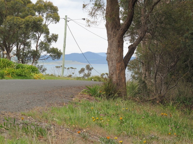 16 Boobyalla Street, Primrose Sands TAS 7173