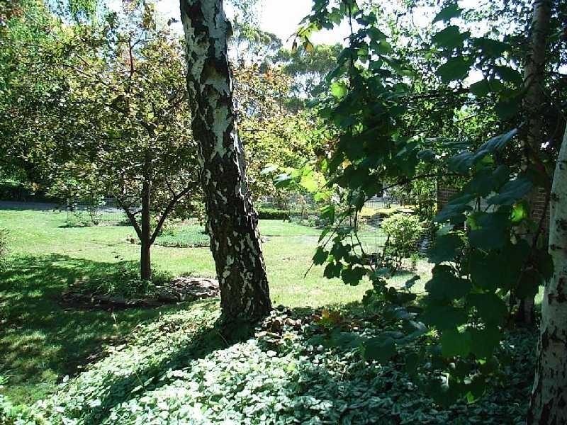 1930 Arthur Highway, Copping TAS 7174