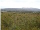 2 Point Puer Road, Port Arthur TAS 7182