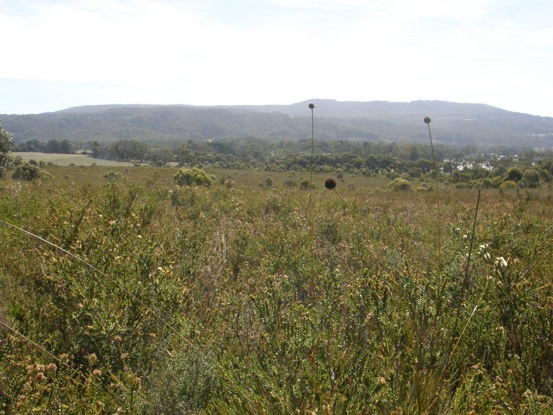 2 Point Puer Road, Port Arthur TAS 7182