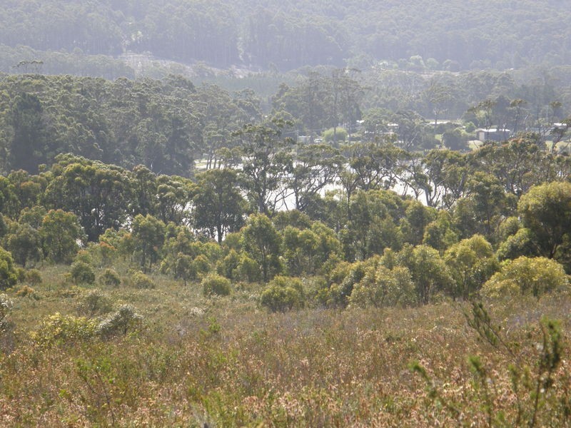 2 Point Puer Road, Port Arthur TAS 7182