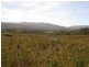2 Point Puer Road, Port Arthur TAS 7182