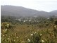 2 Point Puer Road, Port Arthur TAS 7182