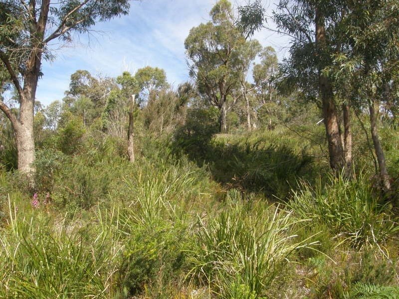 80a Lagoon Road, White Beach TAS 7184