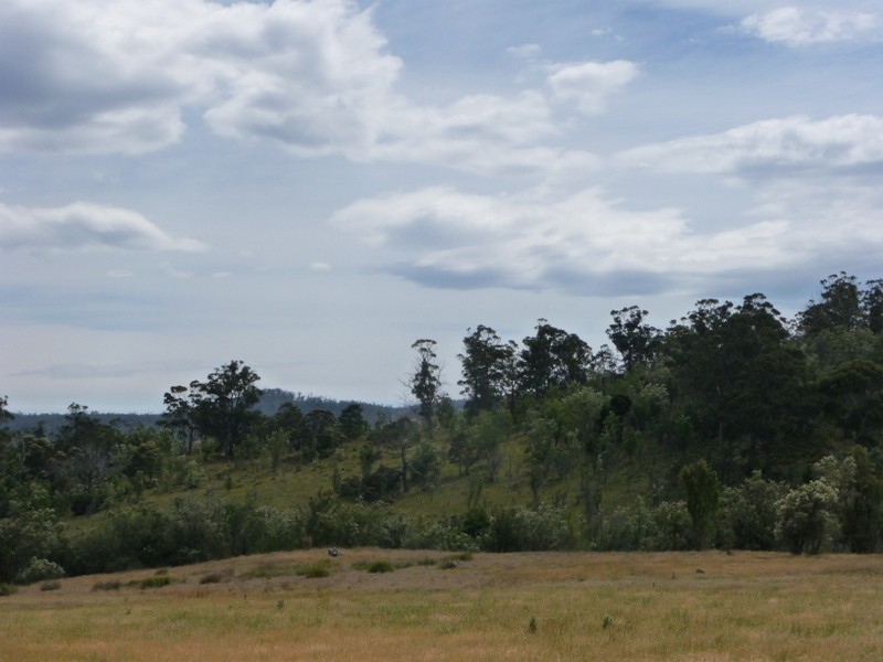 44 Wiggins Road, Wattle Hill TAS 7172