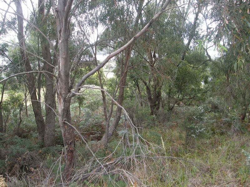 P679 Tip Road, Nubeena TAS 7184