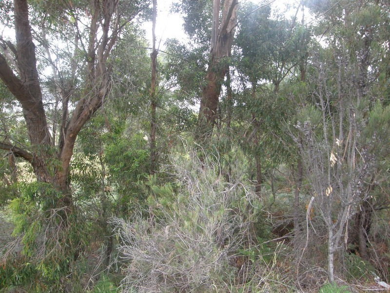 P679 Tip Road, Nubeena TAS 7184