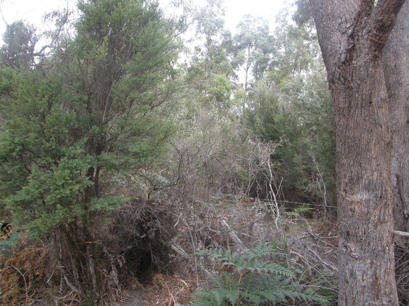 P679 Tip Road, Nubeena TAS 7184