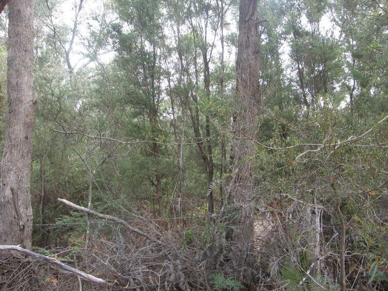 P679 Tip Road, Nubeena TAS 7184