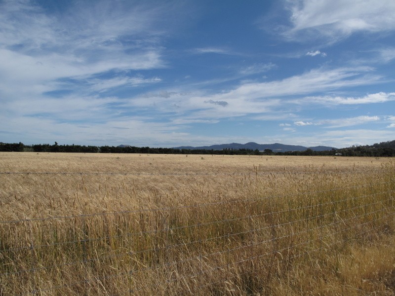 Lot 2 342 Shark Point Road, Penna TAS 7171