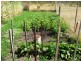 85 Rabbit Hill Road, Colebrook TAS 7027