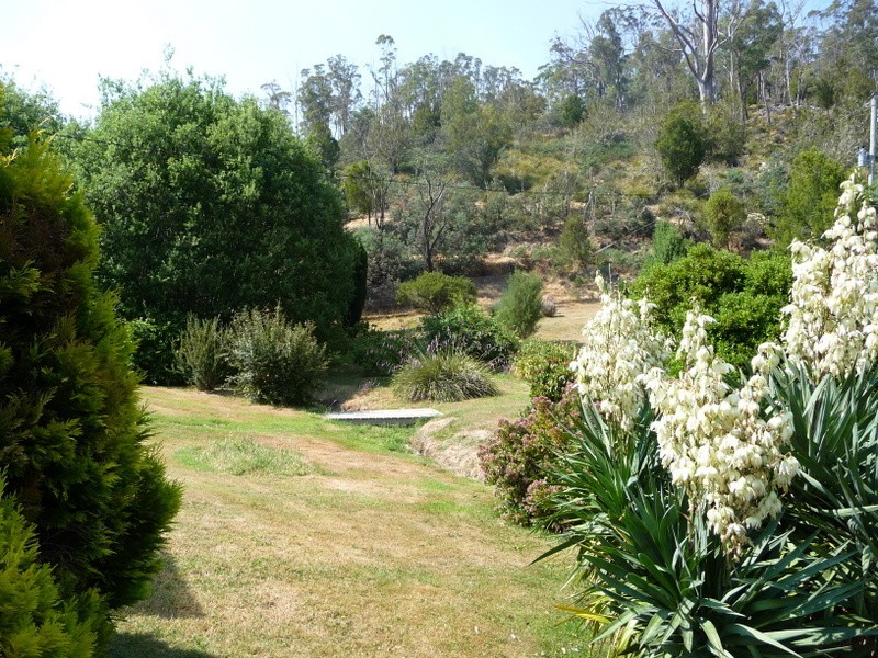 85 Rabbit Hill Road, Colebrook TAS 7027