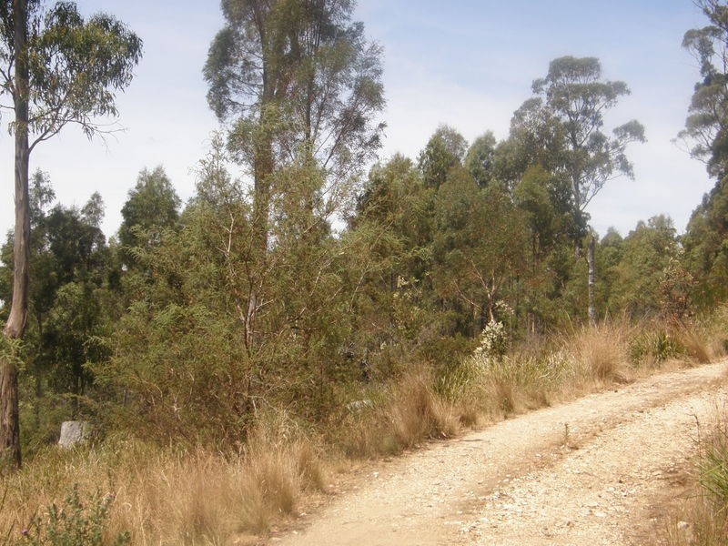 0 Hillcrest Road, Pawleena TAS 7172