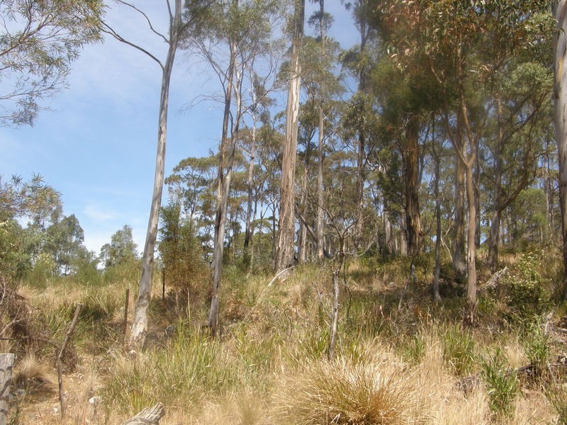 0 Hillcrest Road, Pawleena TAS 7172