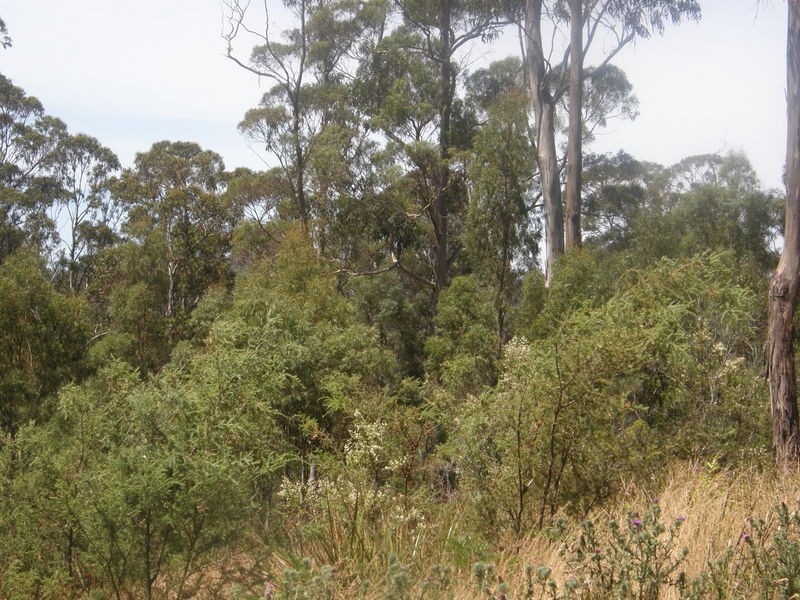 0 Hillcrest Road, Pawleena TAS 7172