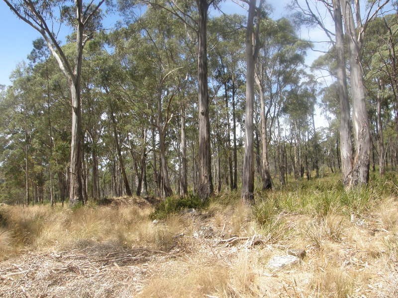 0 Hillcrest Road, Pawleena TAS 7172