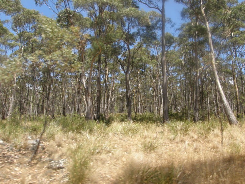 0 Hillcrest Road, Pawleena TAS 7172