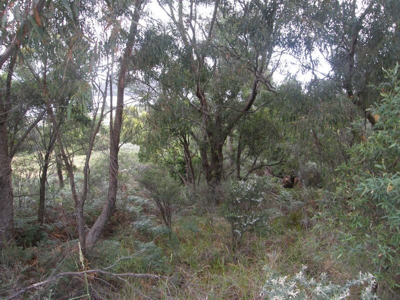Lot 67 Eagleview Road, Nubeena TAS 7184