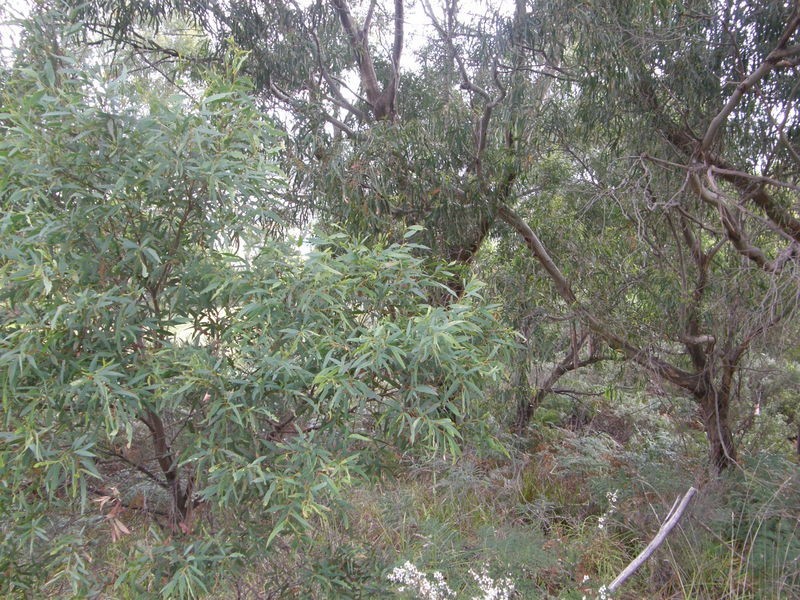 Lot 67 Eagleview Road, Nubeena TAS 7184