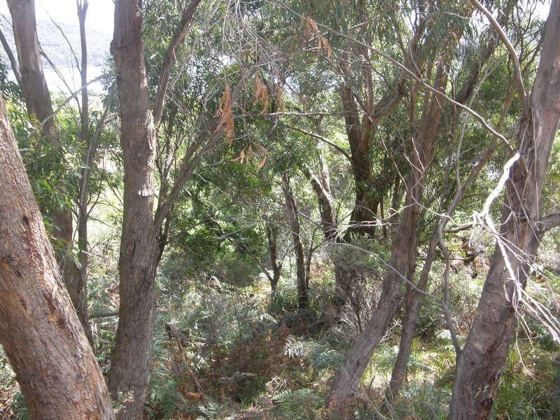 Lot 67 Eagleview Road, Nubeena TAS 7184
