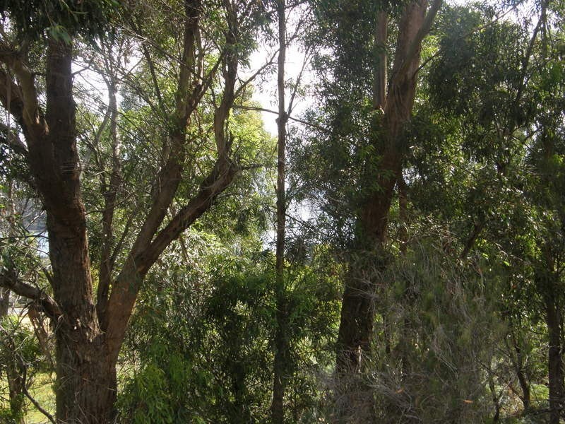 Lot 67 Eagleview Road, Nubeena TAS 7184