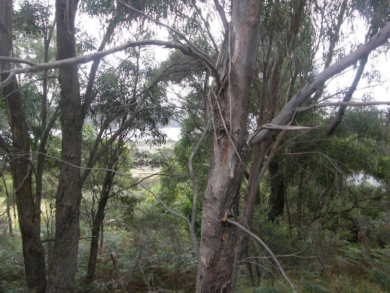 Lot 67 Eagleview Road, Nubeena TAS 7184