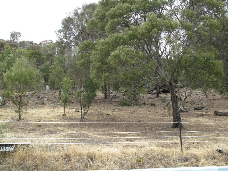 23 Okines Road, Dodges Ferry TAS 7173