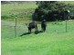 87 Stokes Road, Kellevie TAS 7176