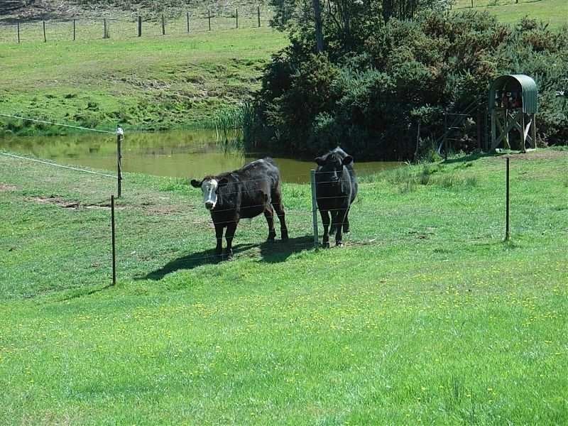 87 Stokes Road, Kellevie TAS 7176