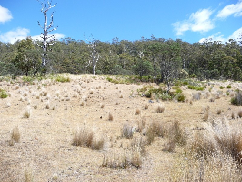 Lots 1-5, 3981 Tasman Highway, Orielton TAS 7172