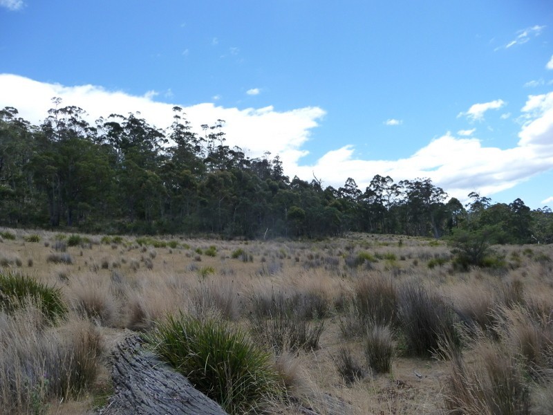 Lots 1-5, 3981 Tasman Highway, Orielton TAS 7172