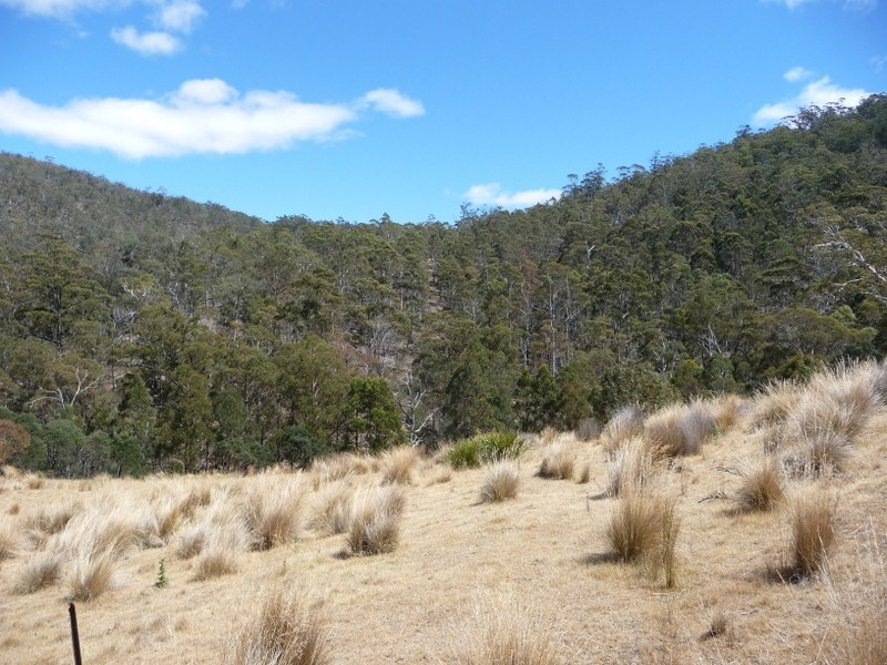 Lots 1-5, 3981 Tasman Highway, Orielton TAS 7172