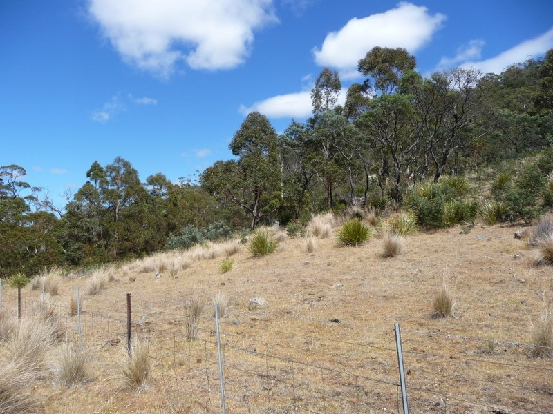 Lots 1-5, 3981 Tasman Highway, Orielton TAS 7172