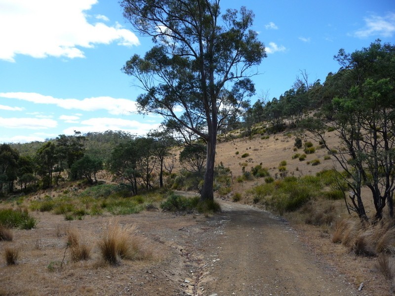 Lots 1-5, 3981 Tasman Highway, Orielton TAS 7172