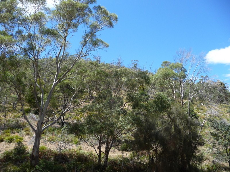 Lots 1-5, 3981 Tasman Highway, Orielton TAS 7172