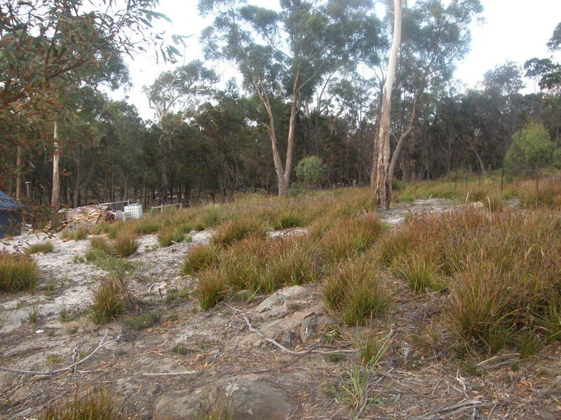 13 Paul Court, Murdunna TAS 7178