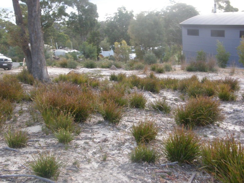 13 Paul Court, Murdunna TAS 7178