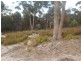 13 Paul Court, Murdunna TAS 7178