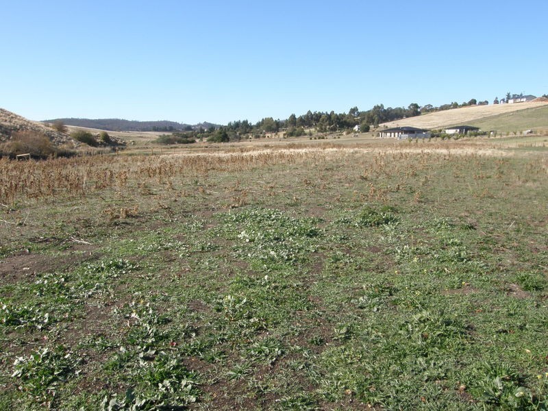 Lot 1 Blackwood Drive, Forcett TAS 7173