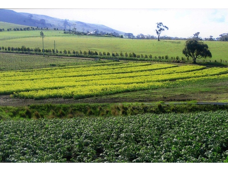 Lot 1 Penna Road, Penna TAS 7171