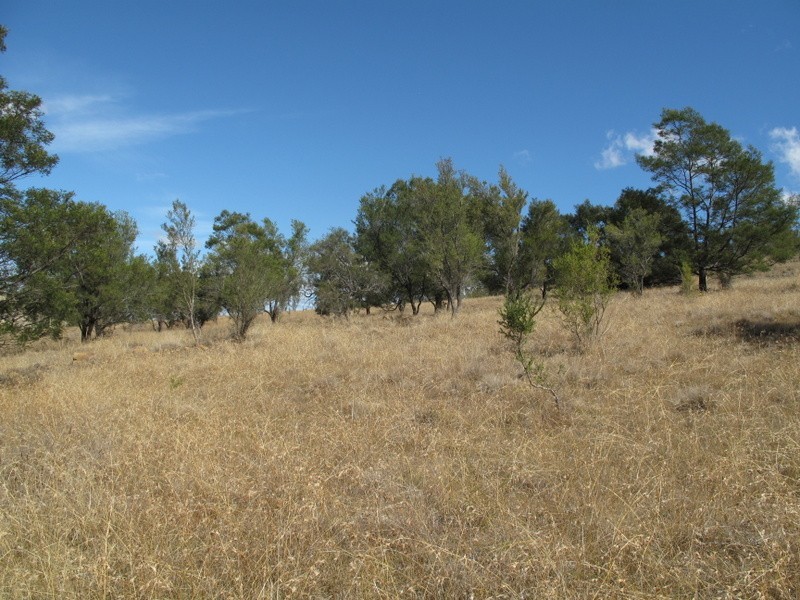 25 Leprena Road, Orielton TAS 7172